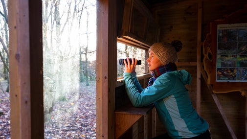 Visitor watching wildlife at Fountains Abbey and Studley Royal Water Garden, North Yorkshire